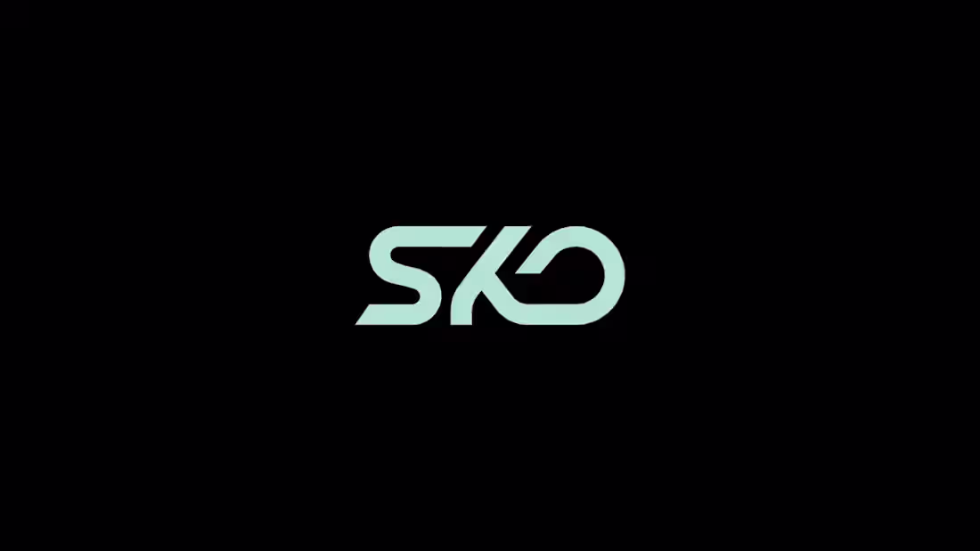 Cover image for Motion Graphics for SKO Promo