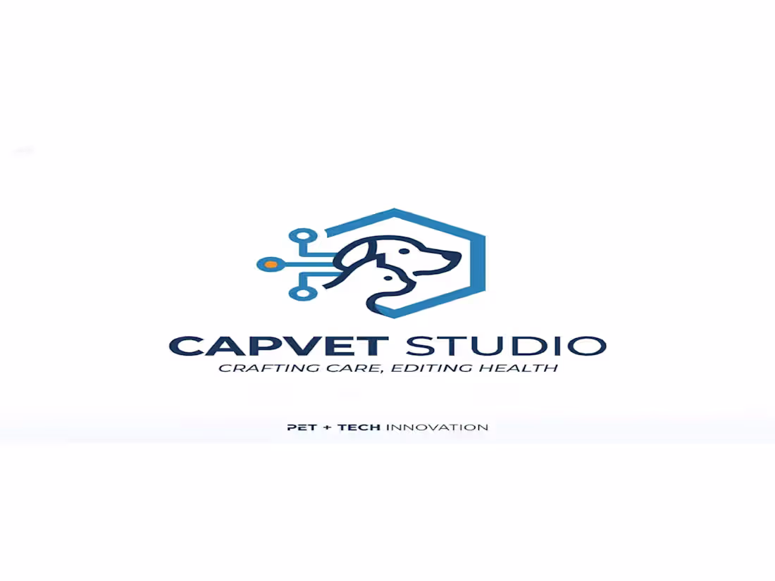 Cover image for “CapVet Studio reimagines CapCut as