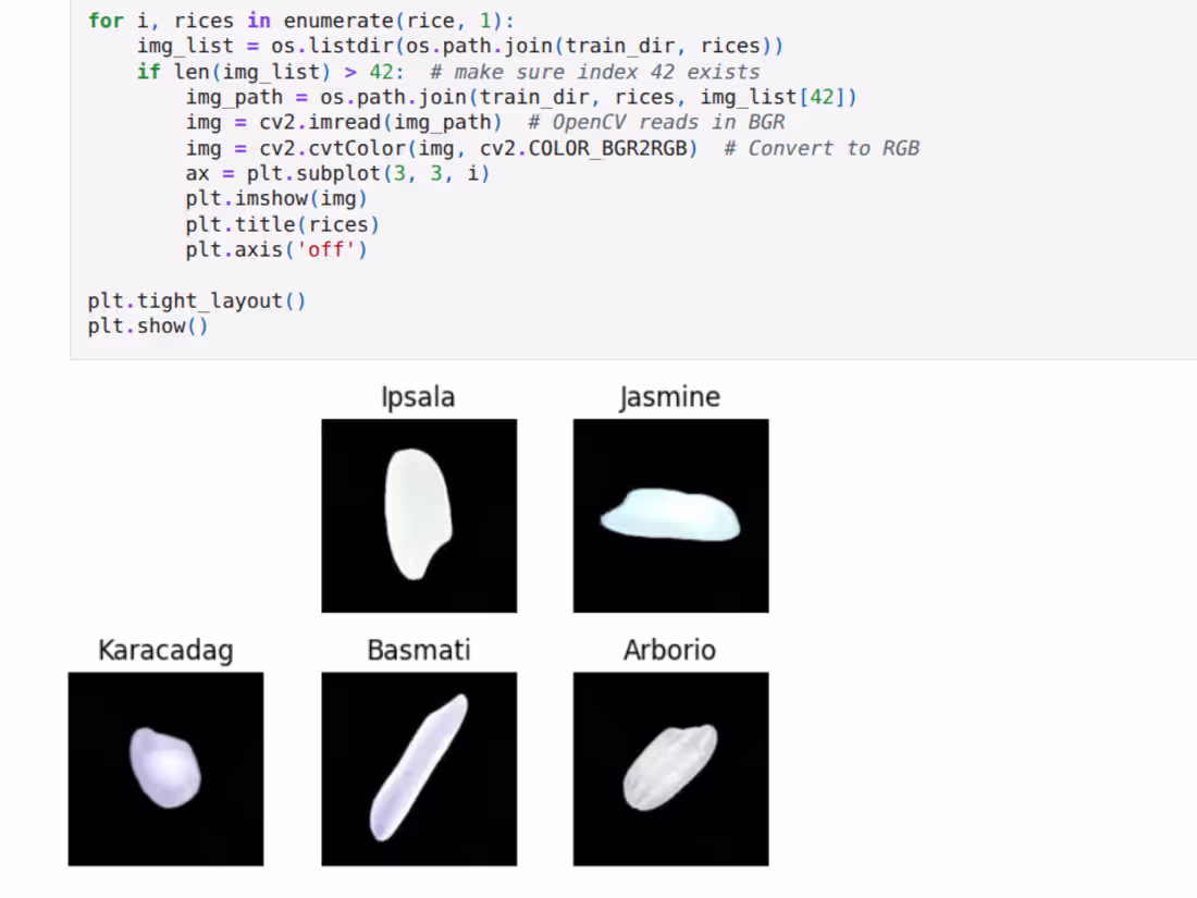 Cover image for Rice Grain Classification using CNN & MobileNetV2 This solut...