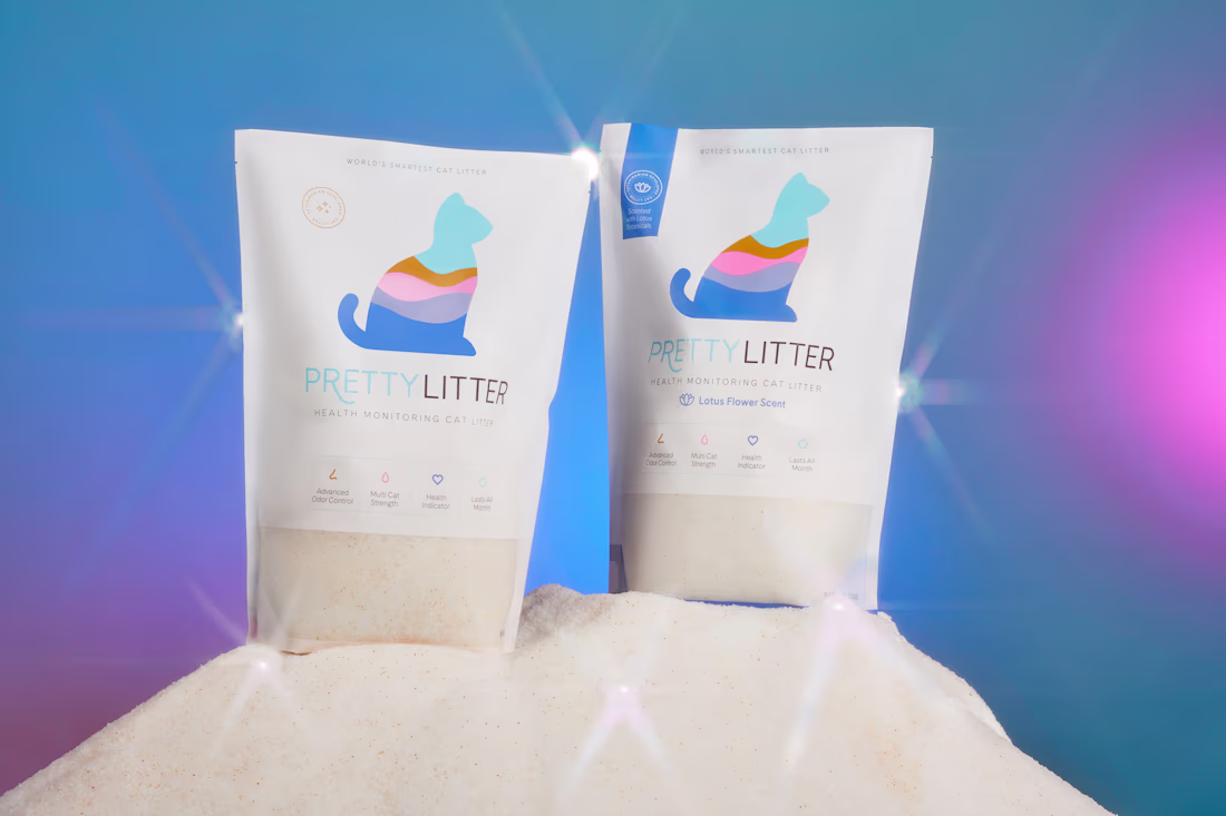 Cover image for PrettyLitter – branding, visual ID,