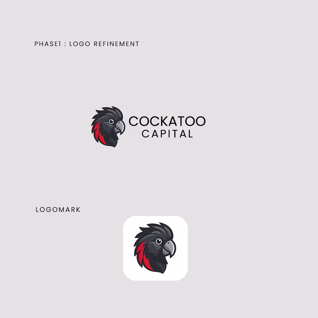 Cover image for COCKATOO