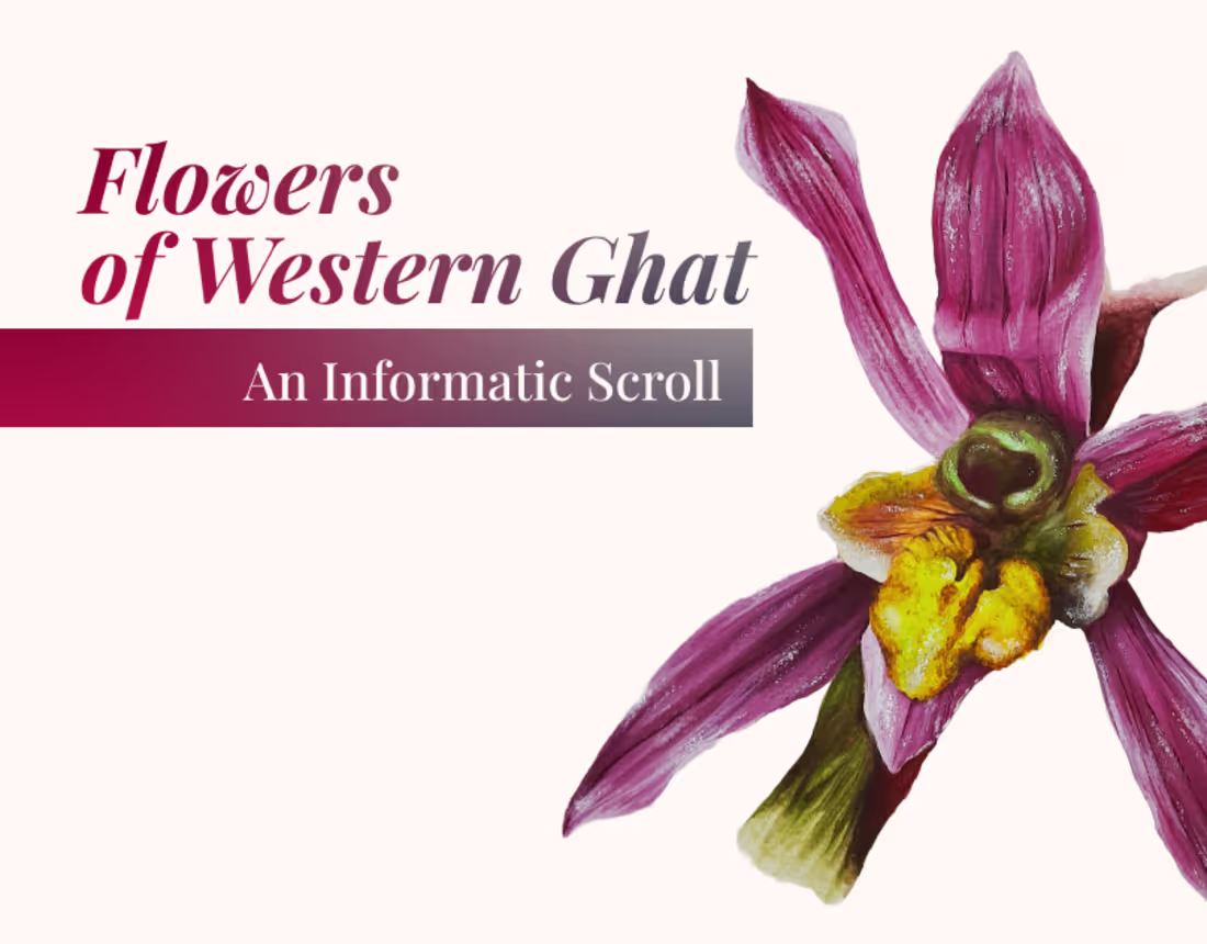 Cover image for Flowers of Western Ghat | Informatic Scroll