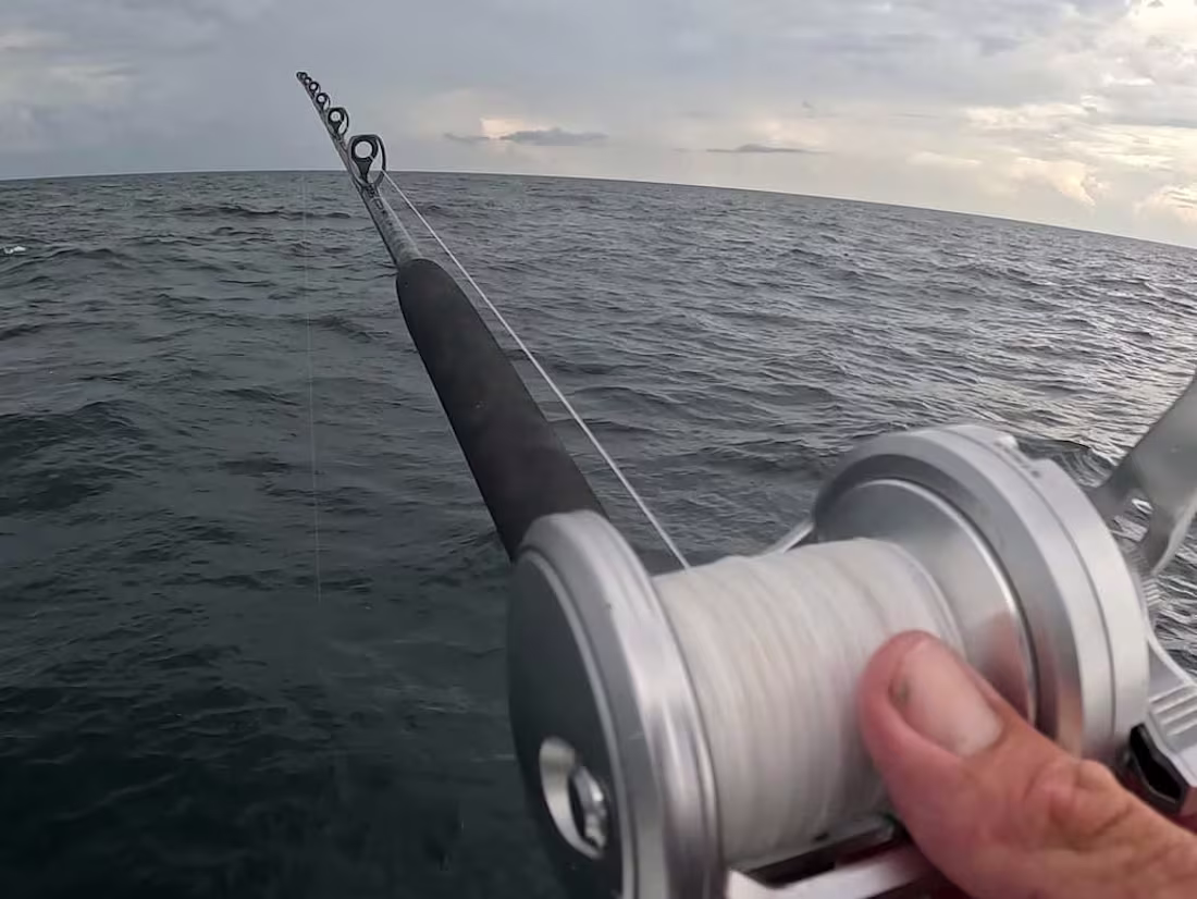 Cover image for Florida Fishing Company