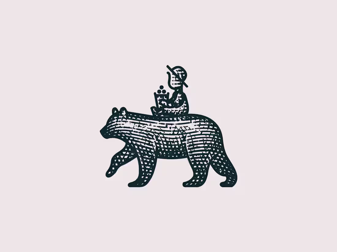 Cover image for The Boy & The Bear