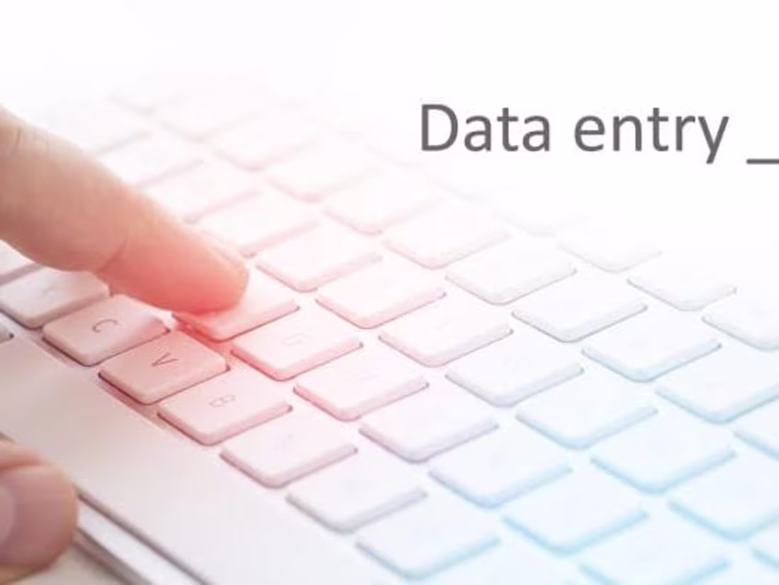 Cover image for Data Entry