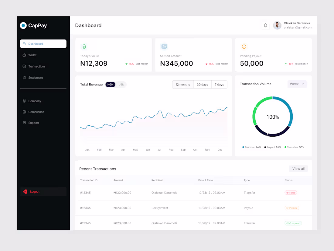 Cover image for Development of CapPay Fintech Dashboard