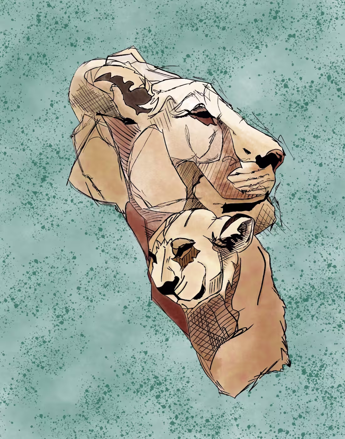 Cover image for Lions