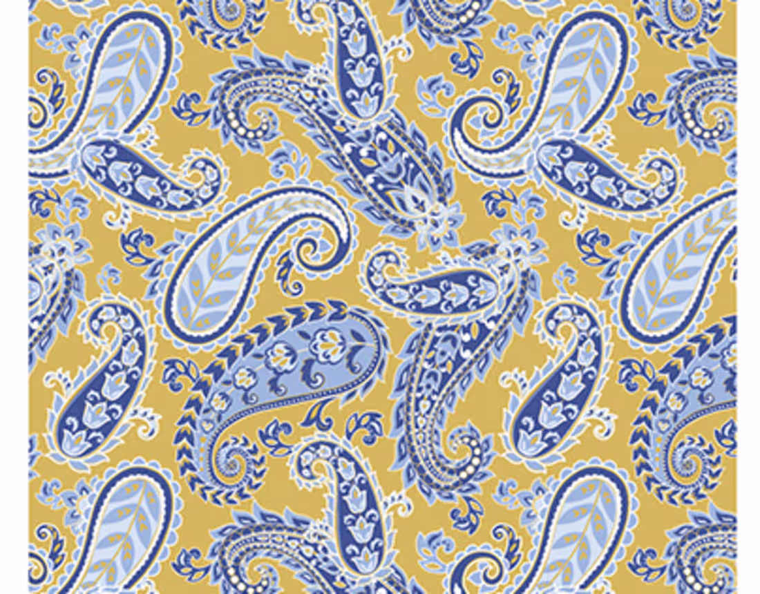 Cover image for Paisley Design