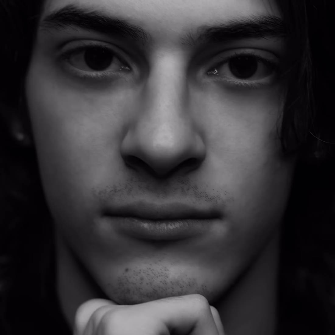 Cover image for Portrait