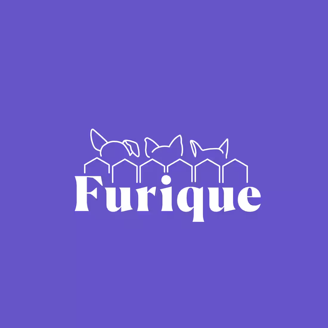 Cover image for Furique — Brand Identity Concept
Furique