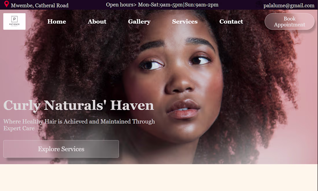 Cover image for Pala Lume – Salon Website
Designed