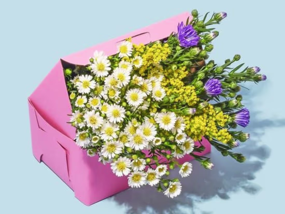 Cover image for Welcome to a floral renaissance.