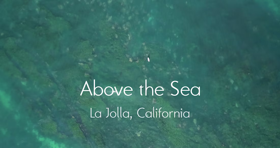 Cover image for Above the Sea - Aerial Videography / Editing