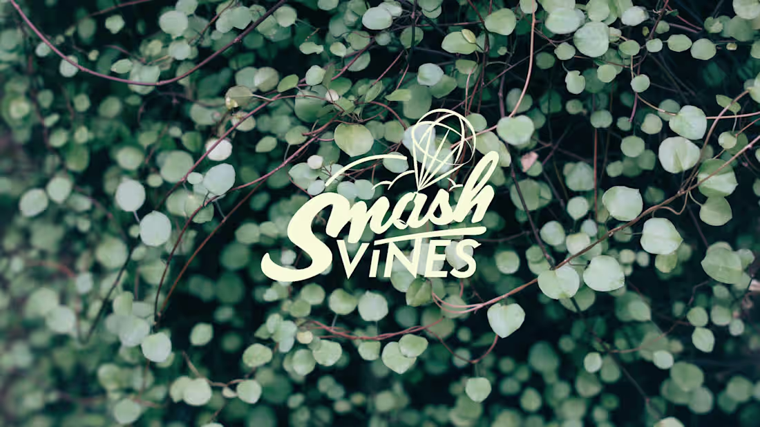 Cover image for SmashVines: An Irreverent Wine Subscription Service