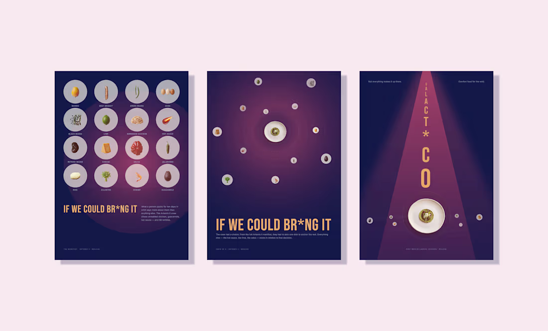 Cover image for IF WE COULD BR*NG IT

A