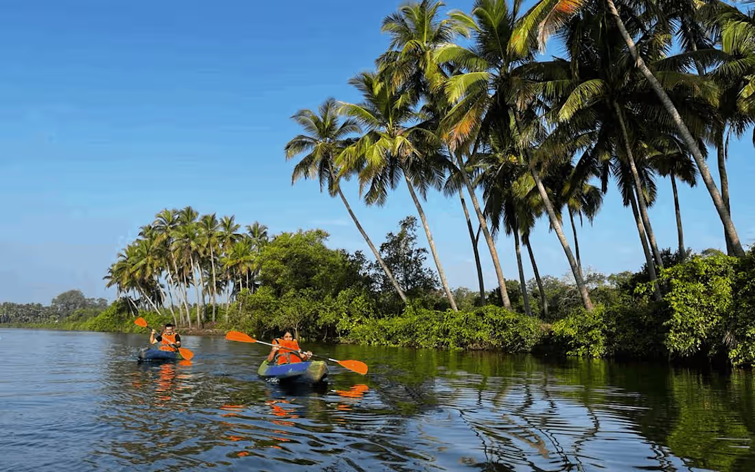 Cover image for OneBoard - Simplifying Authentic Experiences