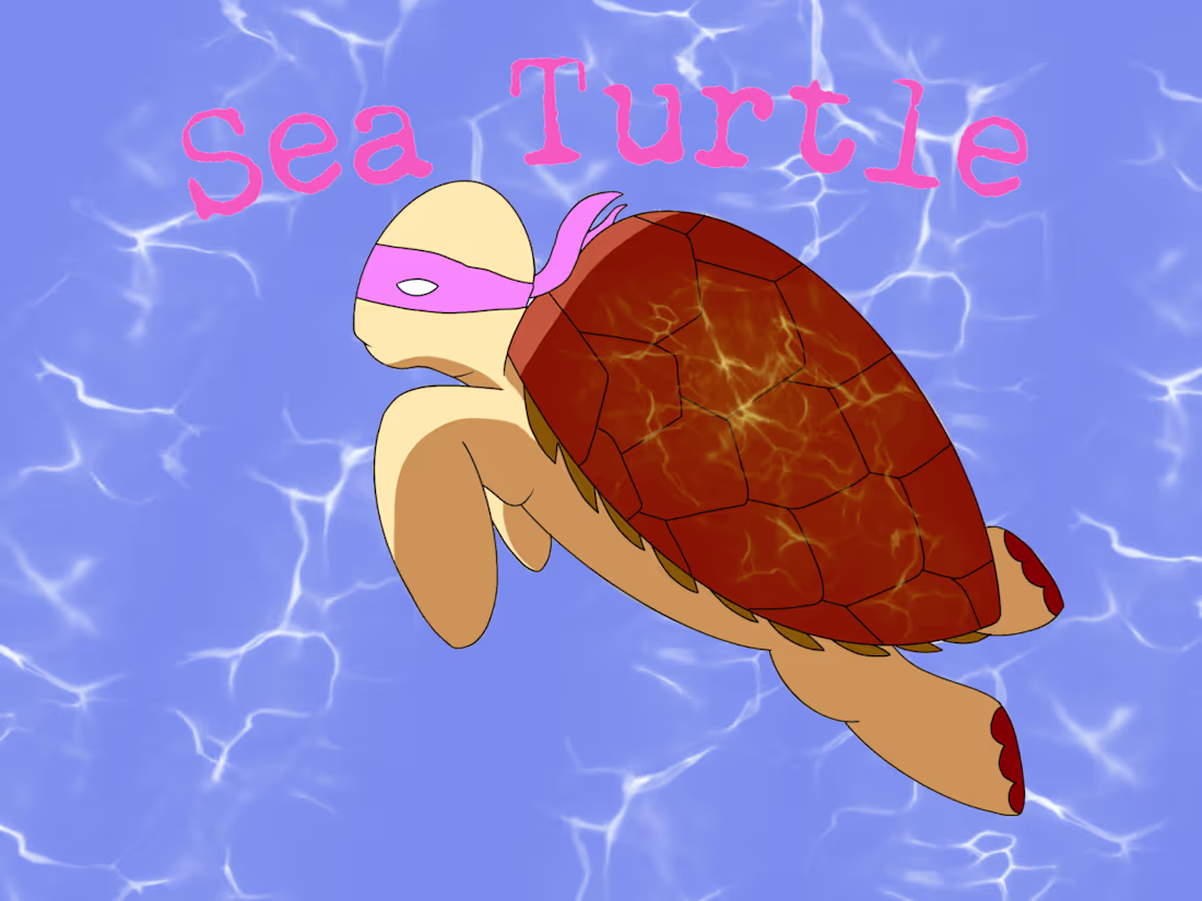 Cover image for 2D Animation & Digital Illustrations