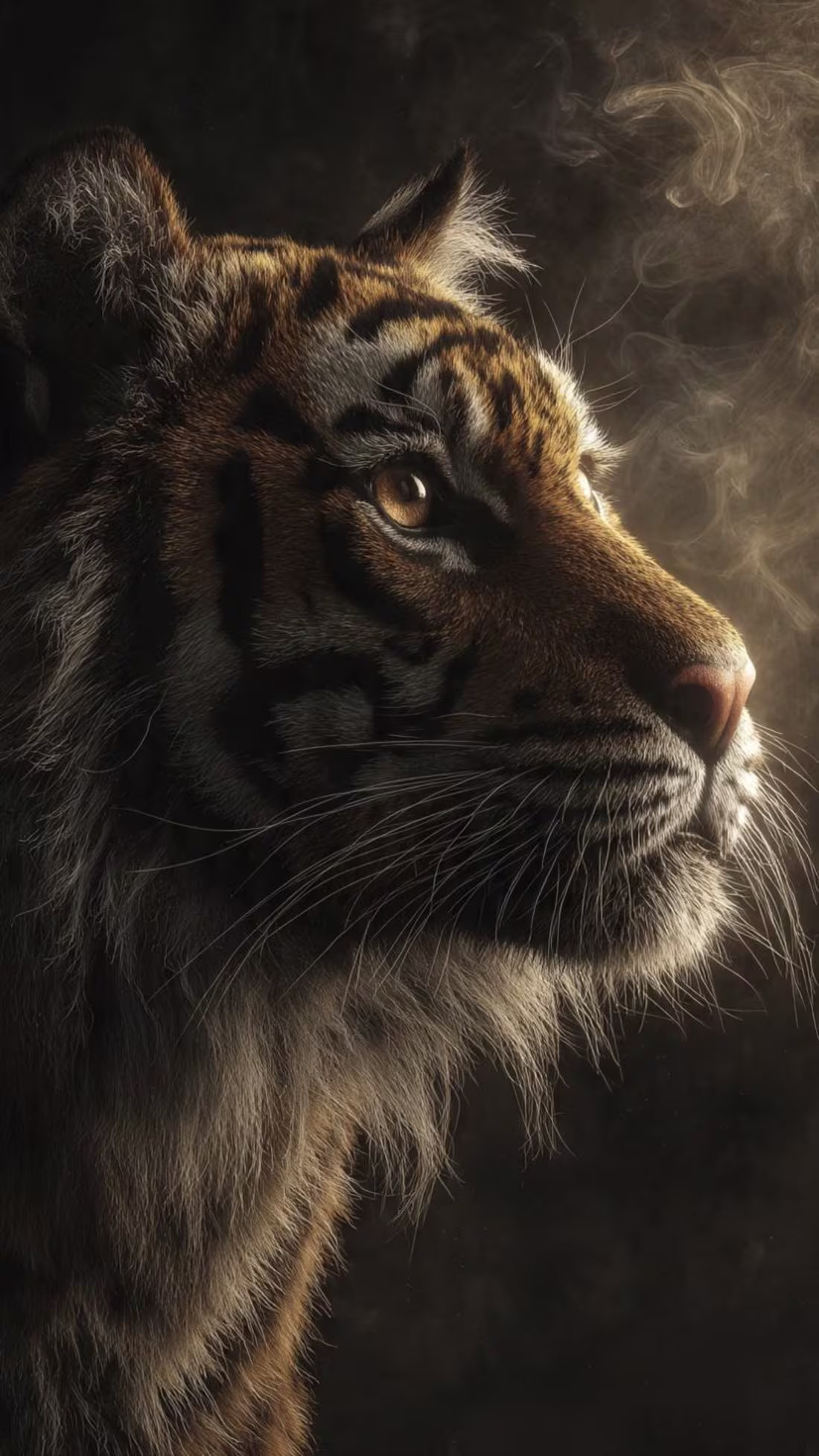 Cover image for 
Majestic Tiger Portrait – Dramatic