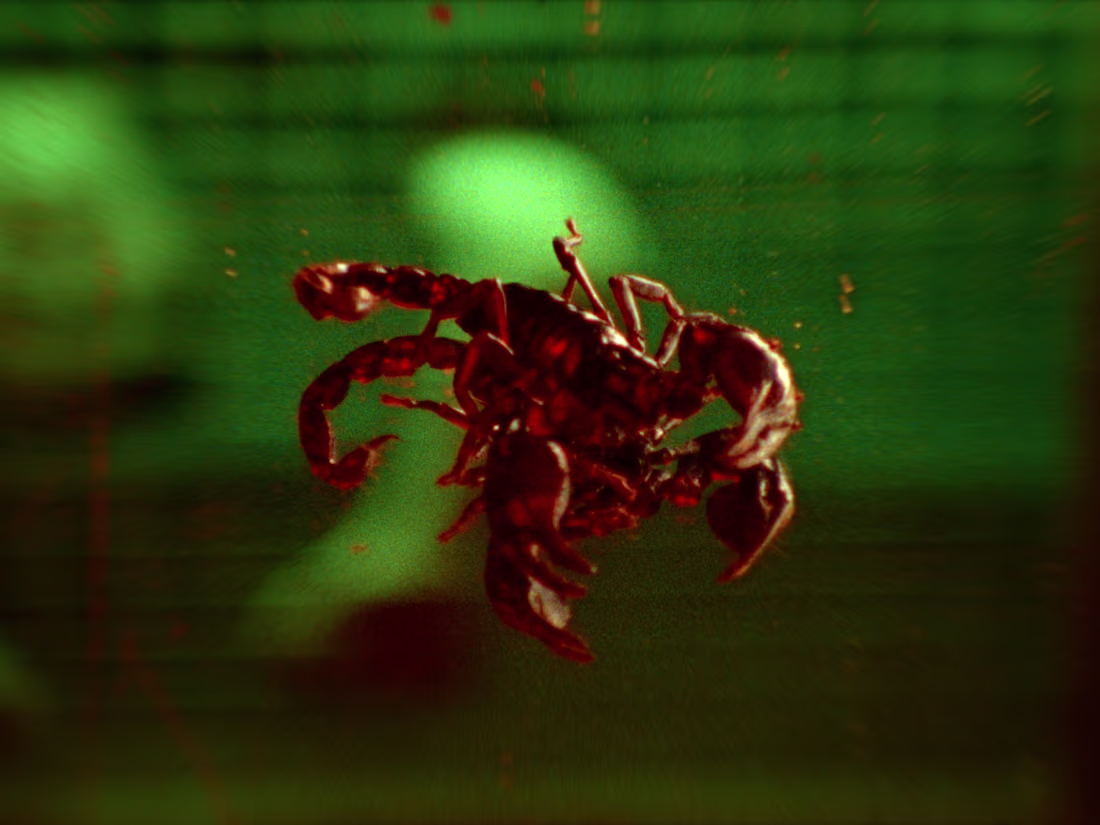 Cover image for Music Video Production