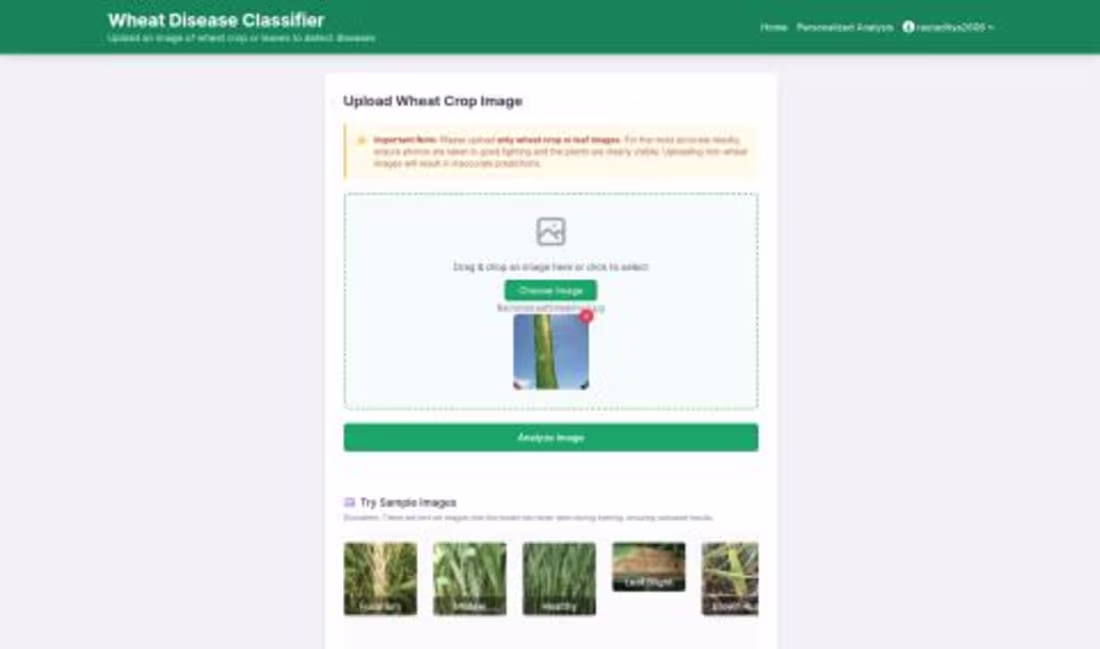 Cover image for 2. Wheat Disease Intelligence Platform
Title: