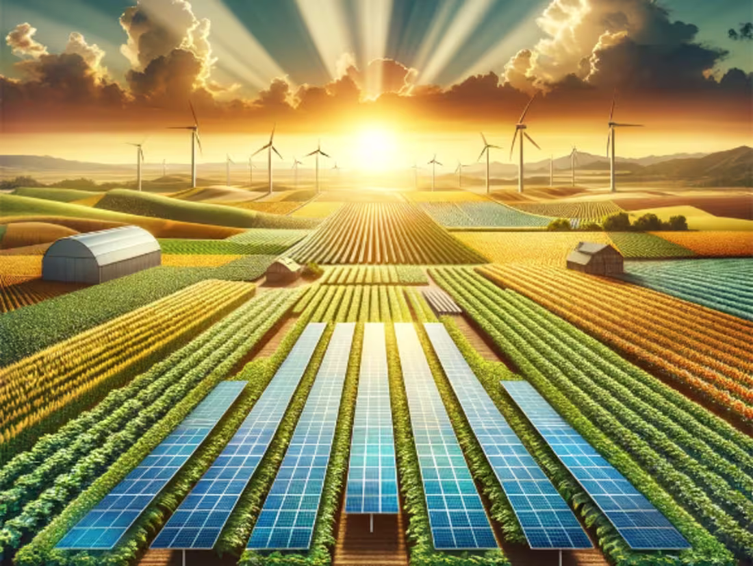 Cover image for Sustainable Agri-Solar Ventures in Spain