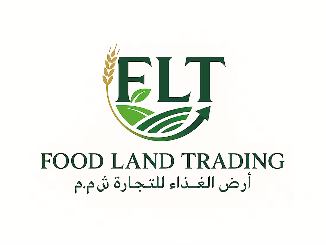 Cover image for Professional FLT Brand Logo Design