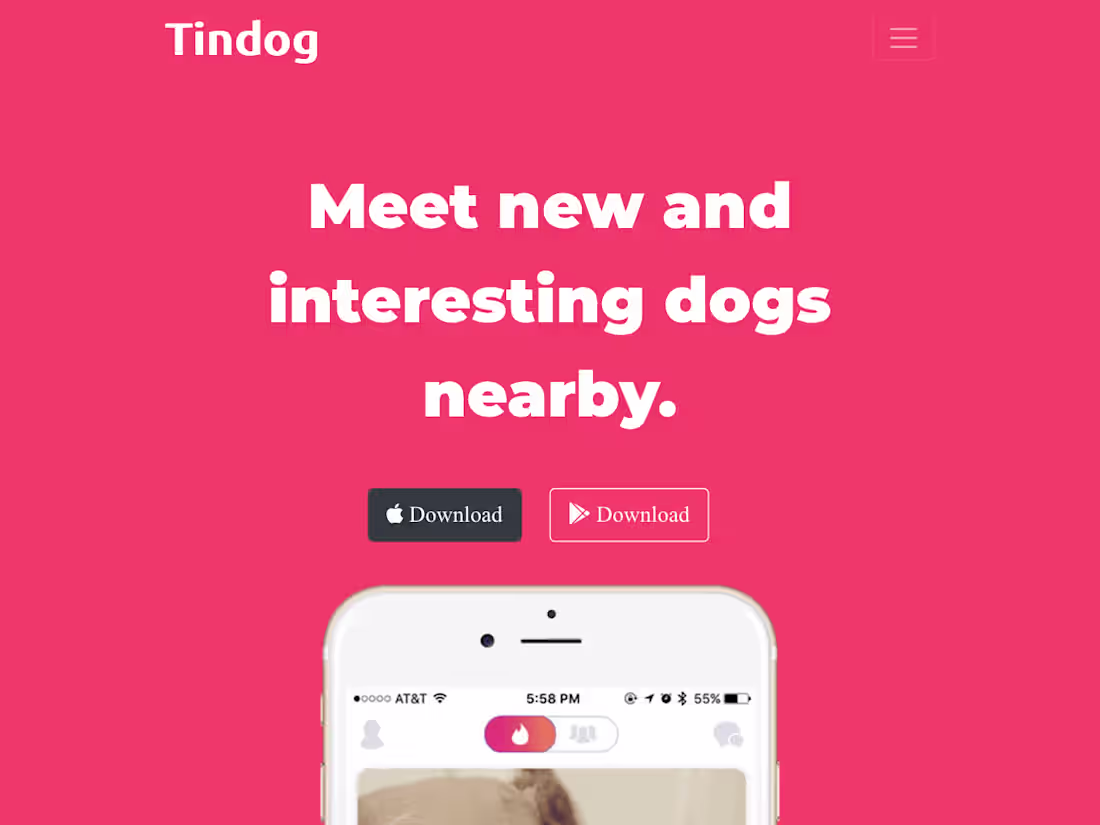 Cover image for TinDog