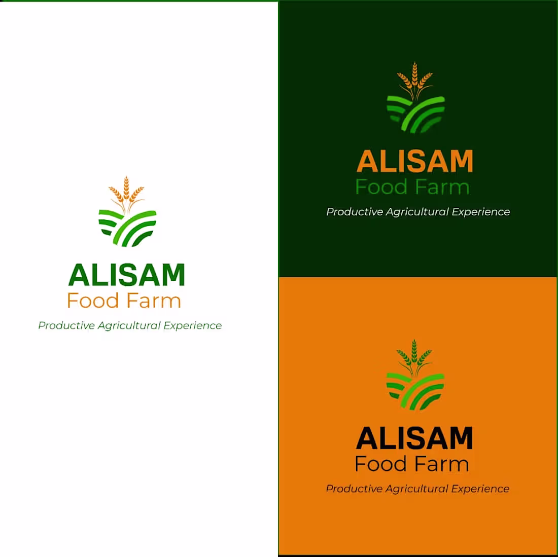 Cover image for Snippets from previously completed branding