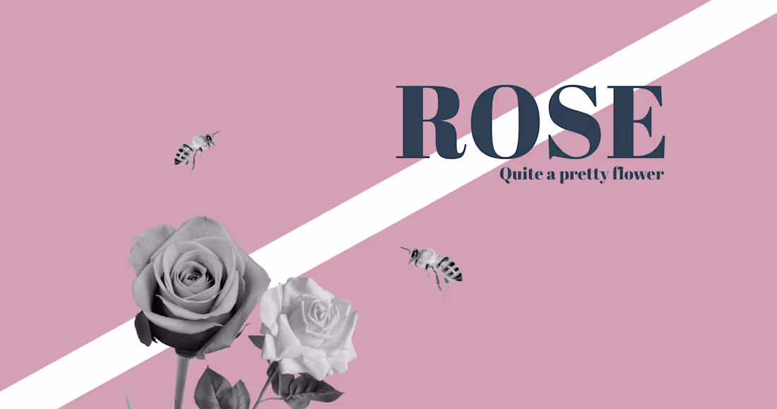 Cover image for Roses are beautiful