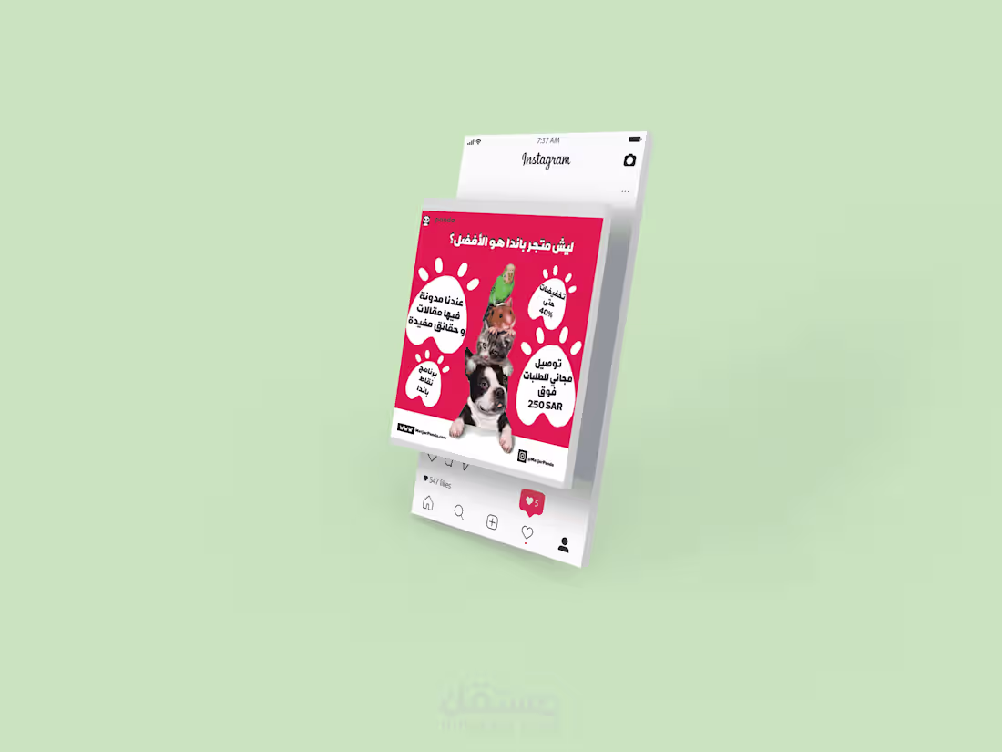 Cover image for Social media posts for a Pet Store
