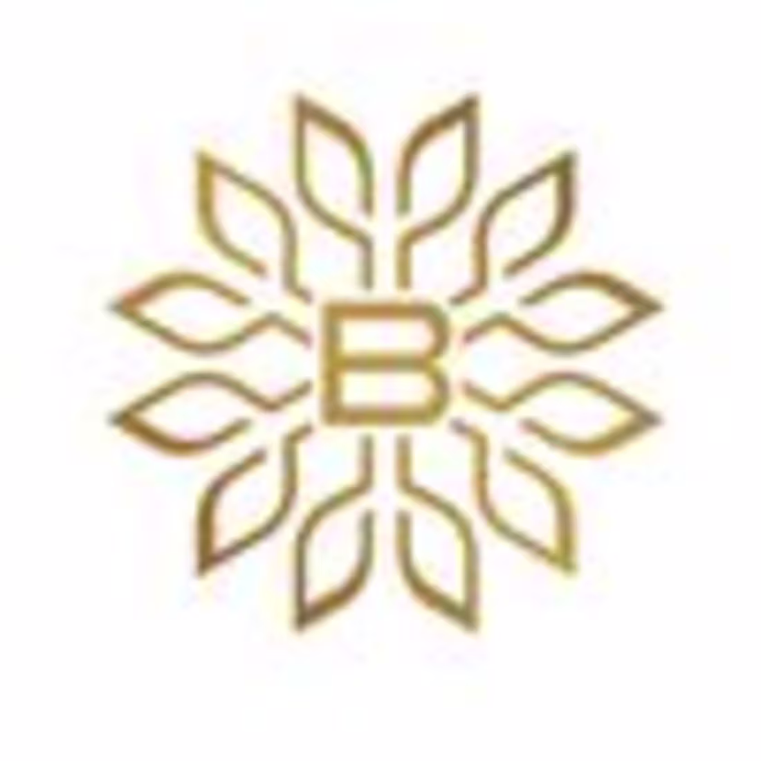 Cover image for TheBimba (@thebimbastore) • Instagram photos and videos