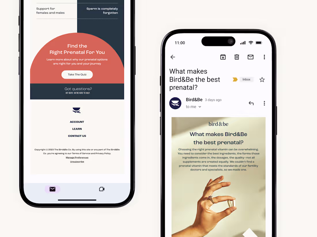 Cover image for Email Marketing Design — Bird&Be (Educational Newsletter)