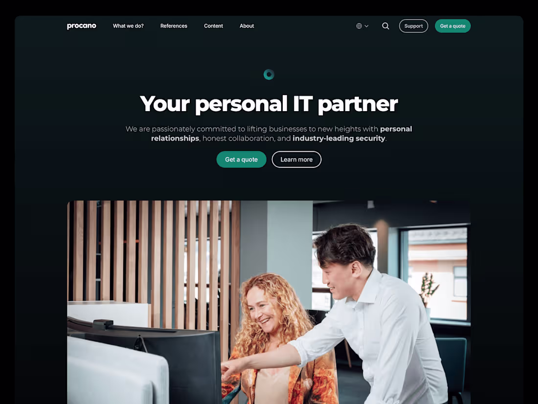 Cover image for Procano: Complete 30+ page company website