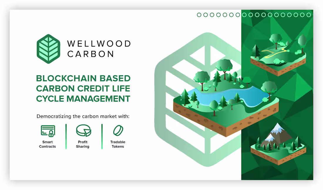 Cover image for WellWood Carbon Branding