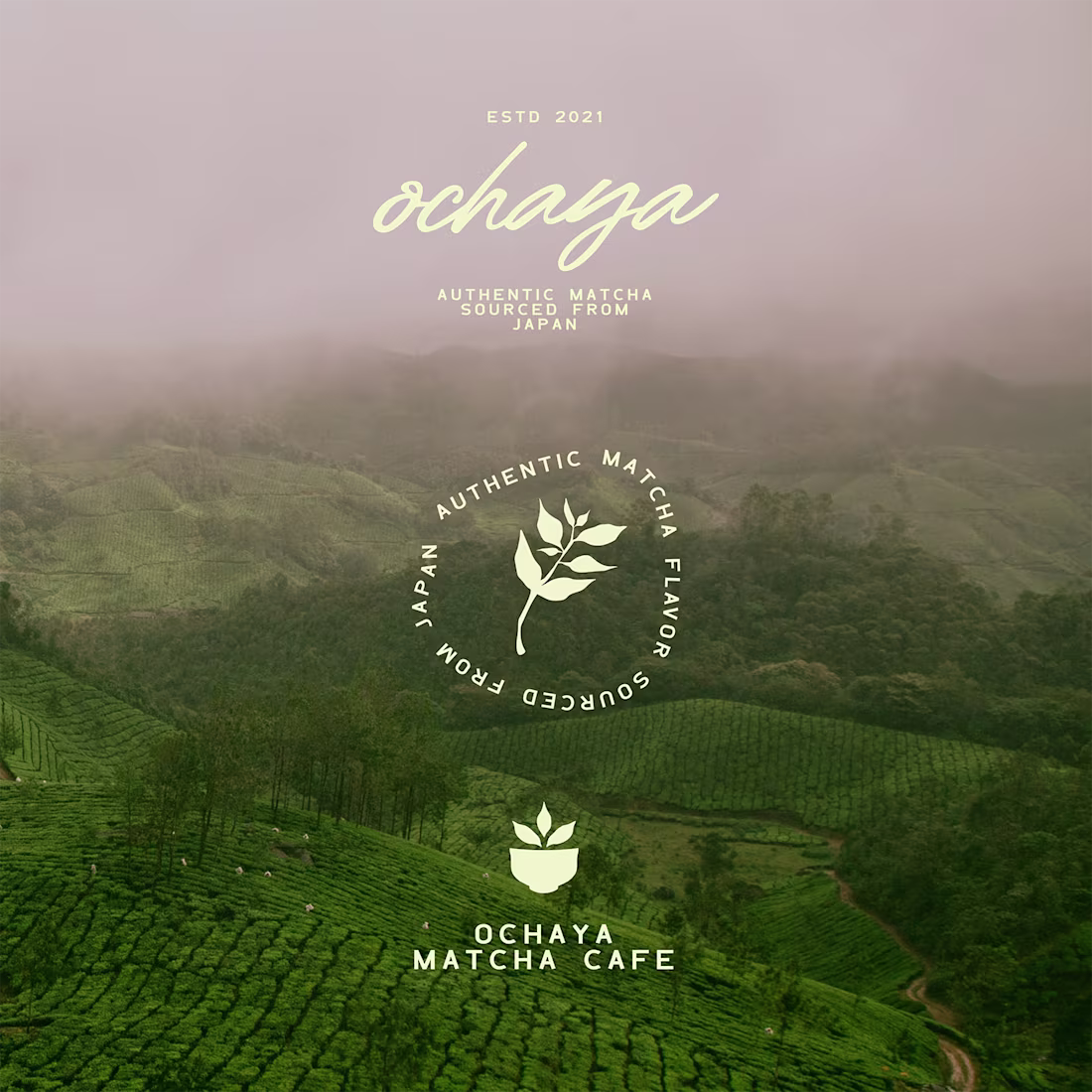 Cover image for Branding for Ochaya Created branding guide for matcha brand ...