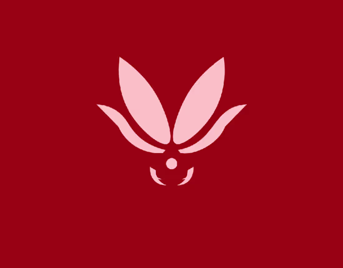 Cover image for Insect - Logo Design