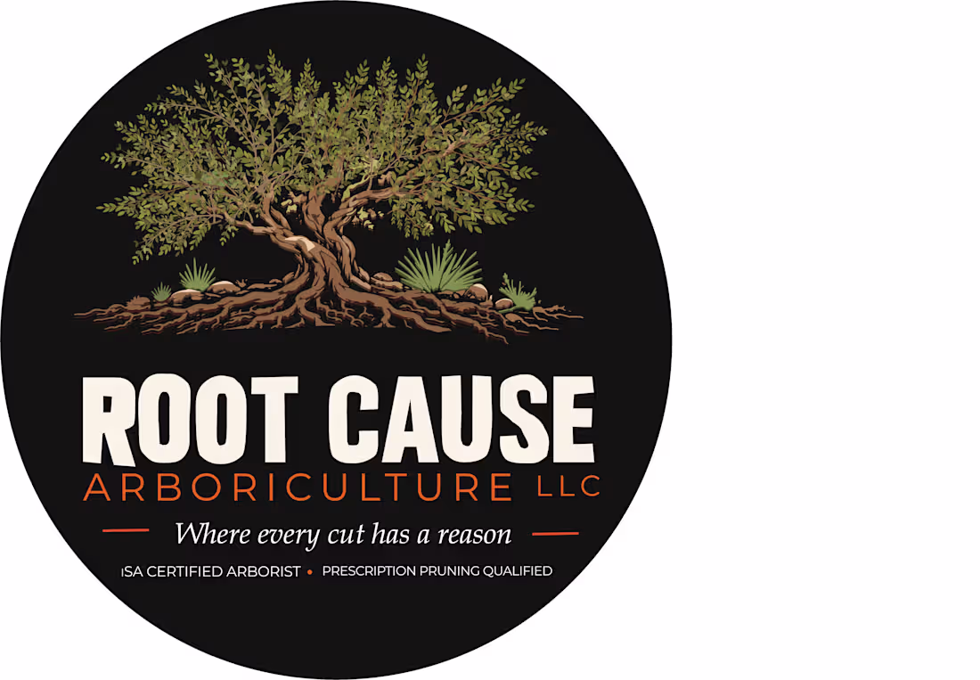 Cover image for Root cause arboriculture logo design