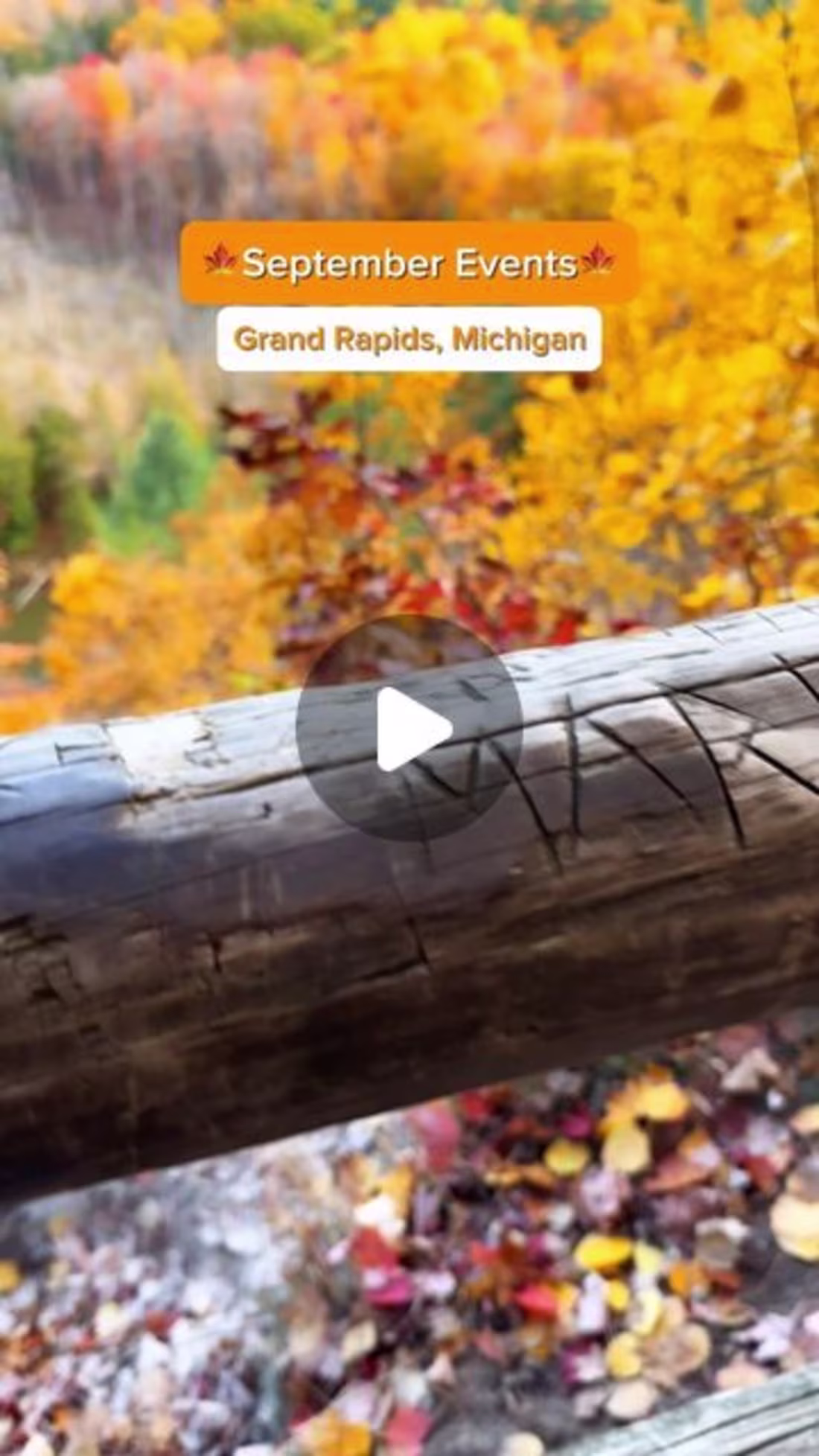 Cover image for Allison | Michigan Outdoor Adventures on Instagram: ”🍂 Fall in…