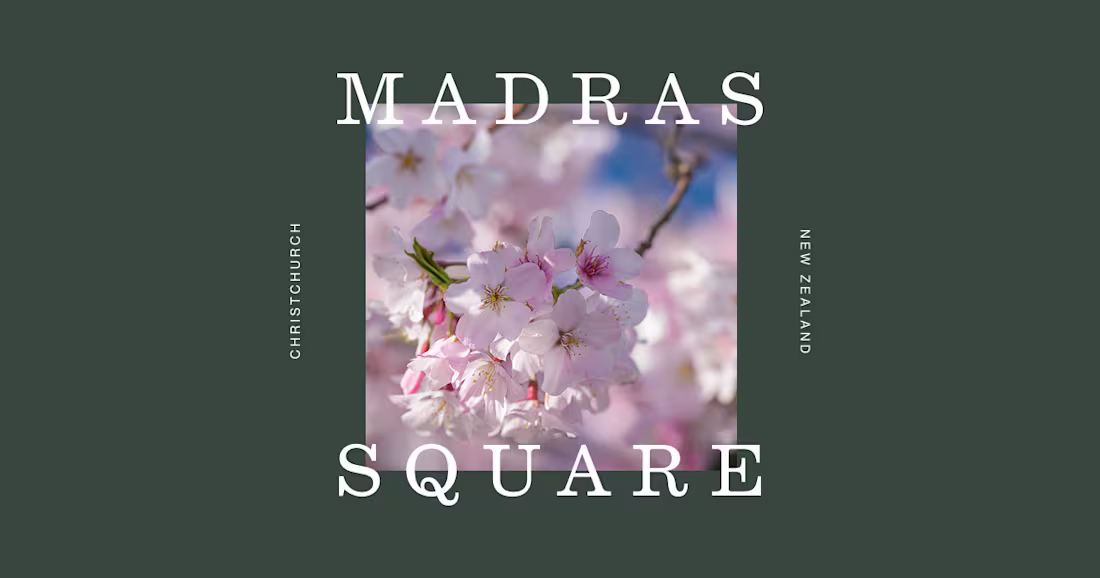 Cover image for Madras Square – Webflow Development