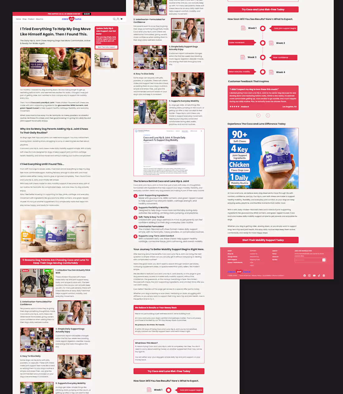 Cover image for Advertorial Experience Designed for Business