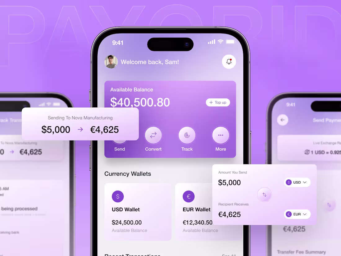Cover image for PayGrid -  CrossBorder Payment Mobile App UI/UX Design