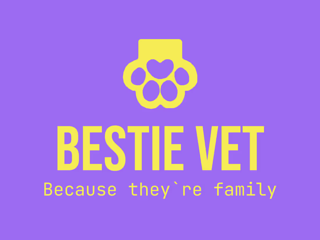 Cover image for Bestie Vet is a conceptual