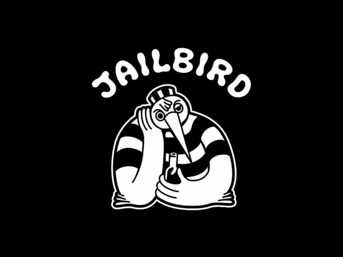 Cover image for Jailbird