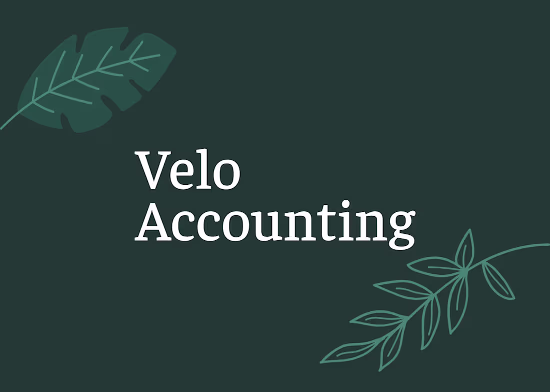 Cover image for Velo Accounting
