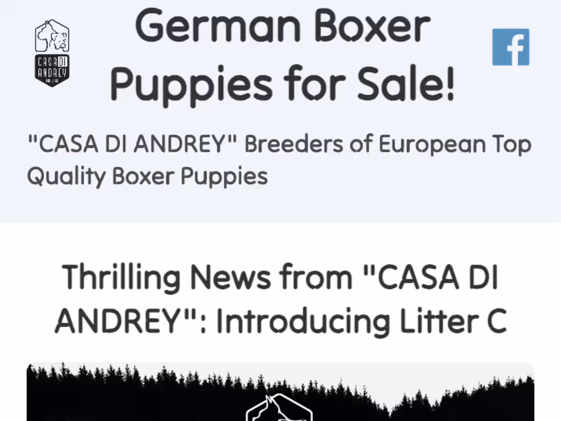 Cover image for Kennel Website