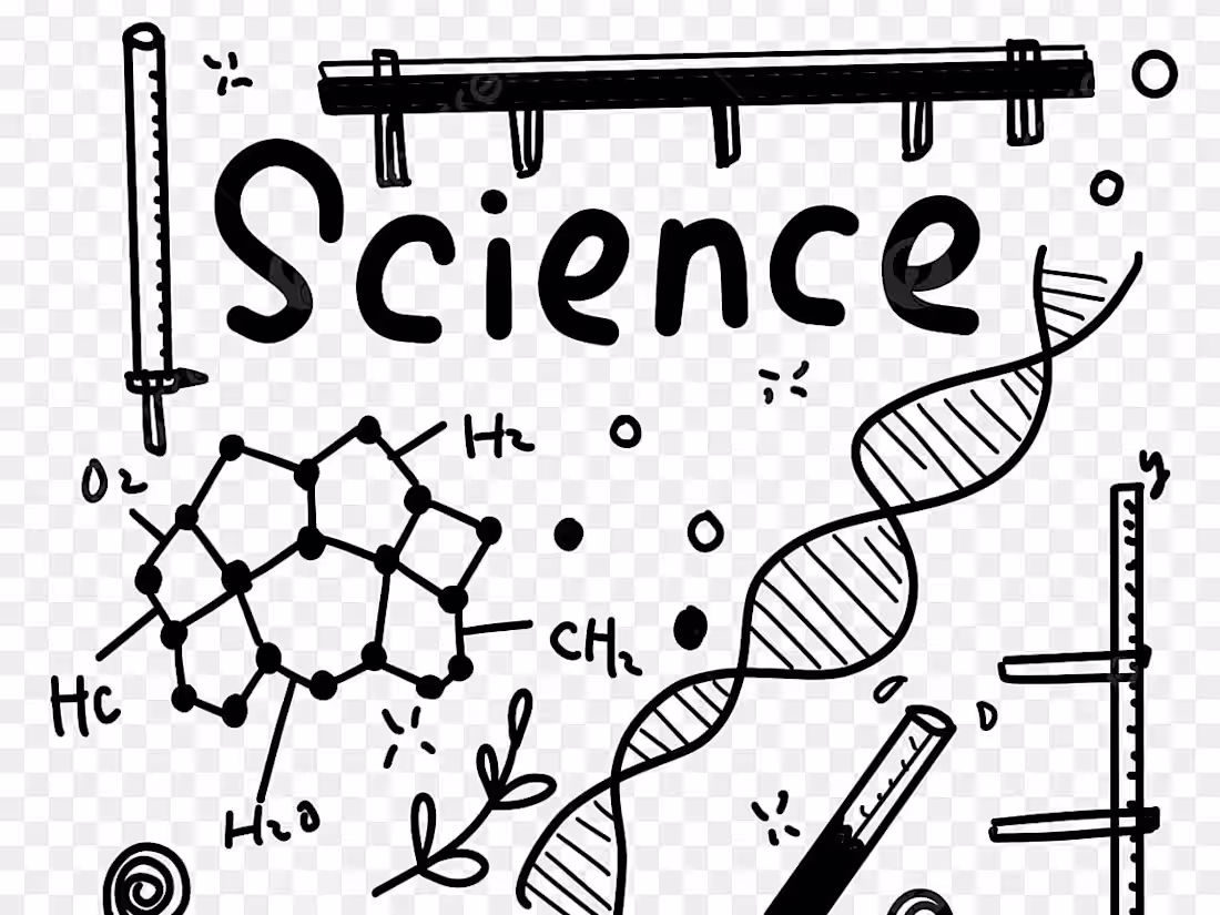 Cover image for Science