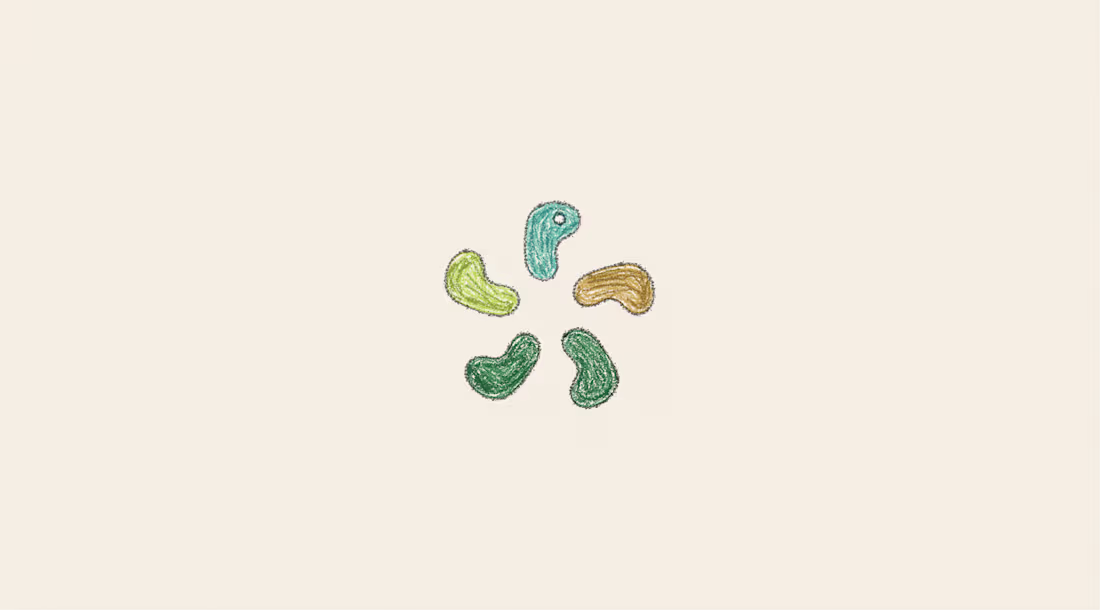 Cover image for Bosanona Brand Identity