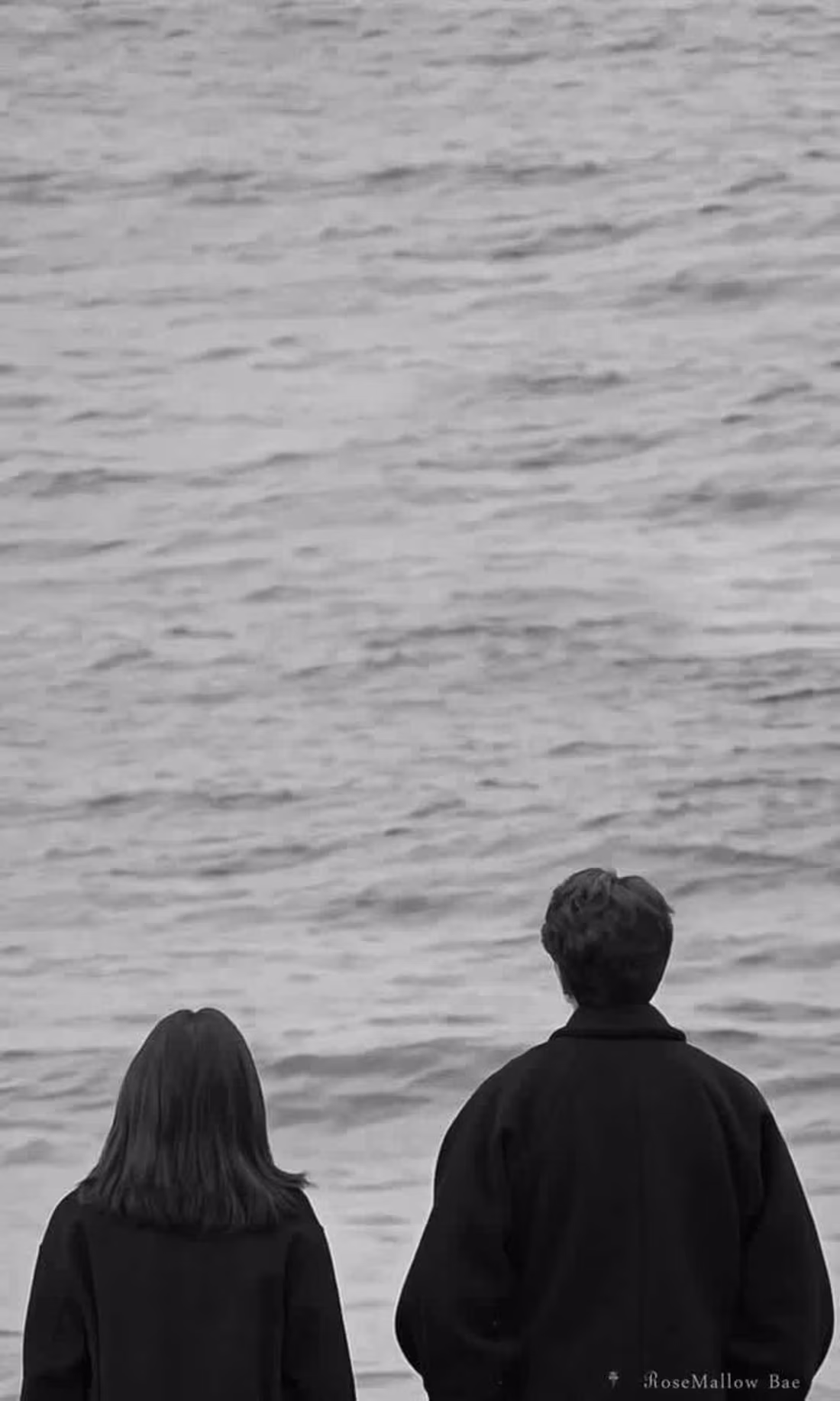 Cover image for The Longing
