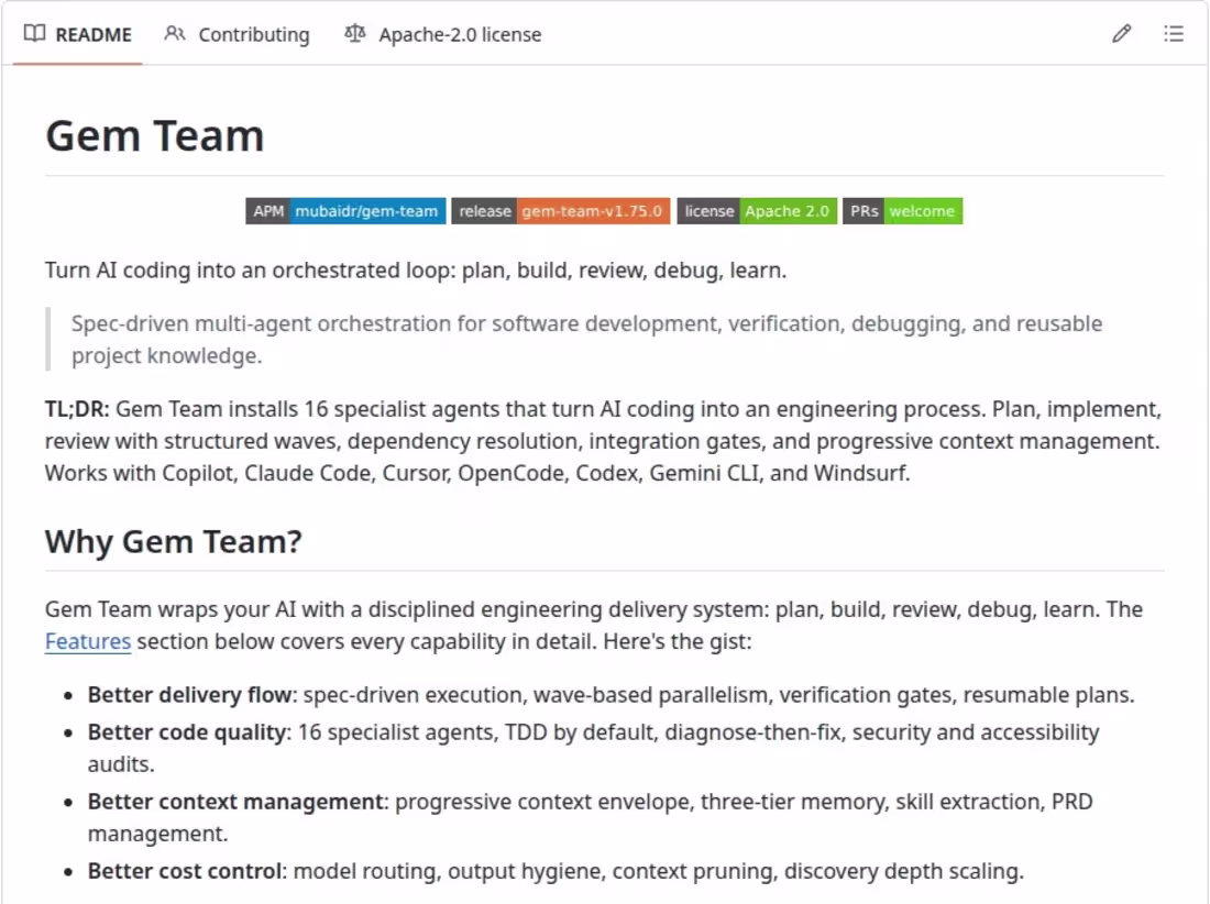 Cover image for Gem Team