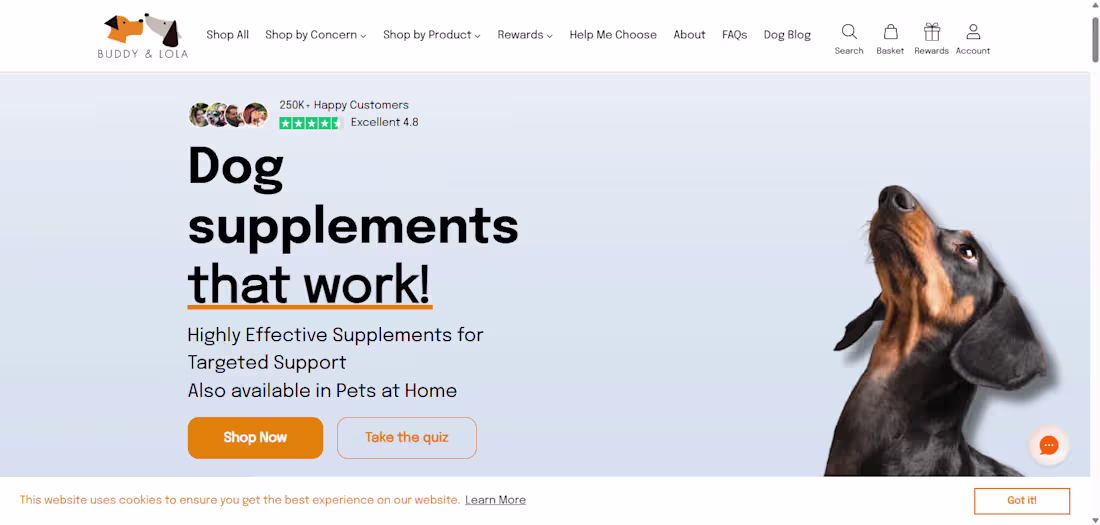 Cover image for Shopify Developer | Shopify CRO